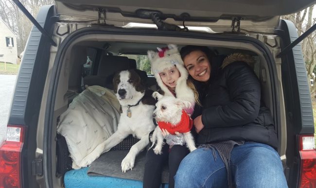 Isn't it amazing how animals can bring people together?