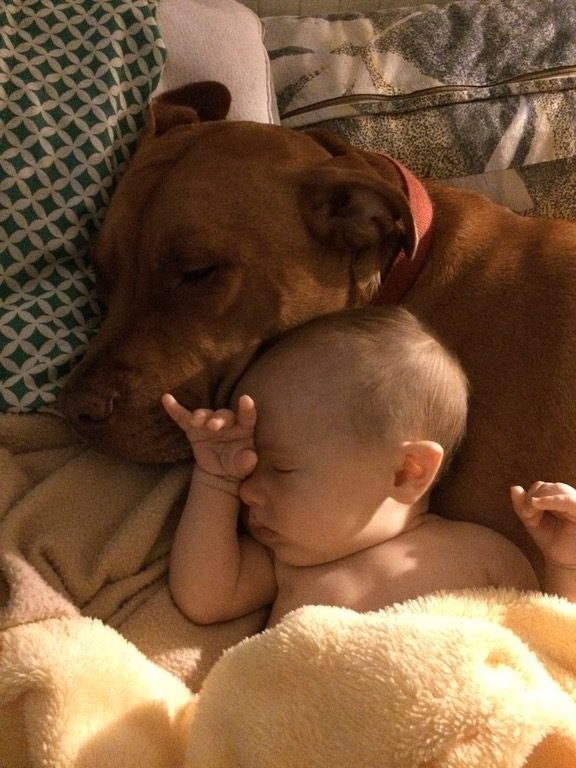 Could this pair be any cuter?