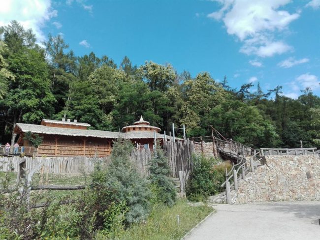 Though the boys ran to a nearby wooded area, two of them were caught and detained.The third boy escaped.A spokesman for the zoo said they don't have any remorse for what they've done.