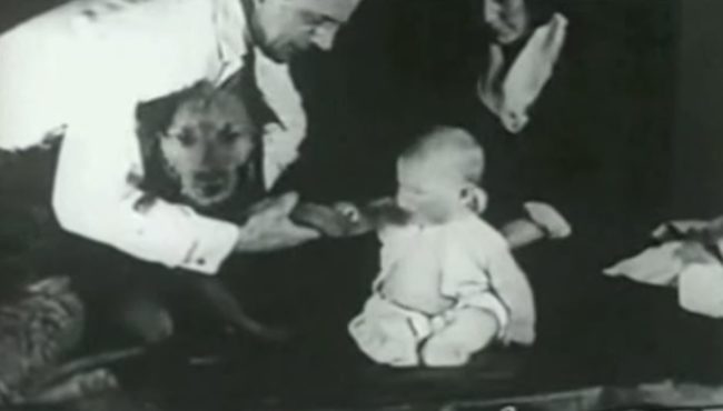 They introduced Albert to a few different animals at first, including a dog, a rabbit, a monkey, a rat, and various furry objects like cotton, wool, and masks with and without hair.