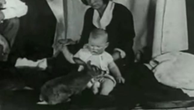 He didn't show any fear when exposed to the objects or animals -- in fact, he seemed to like the rat.