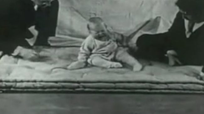 They allowed Albert to play with the rat in the next phase, but hit a suspended steel bar with a hammer every time he touched the rodent, which scared him and made him cry.After a few repetitions of this, he began associating the noise with the rat and getting upset whenever he saw it.