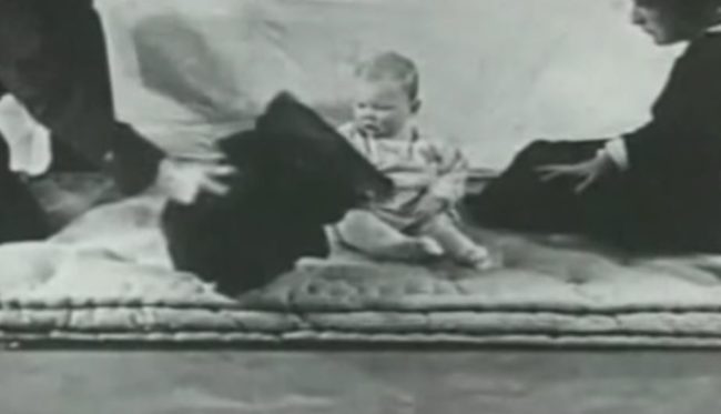 This conditioned response carried over to his interactions with the other animals and objects, including this seal-skin coat.