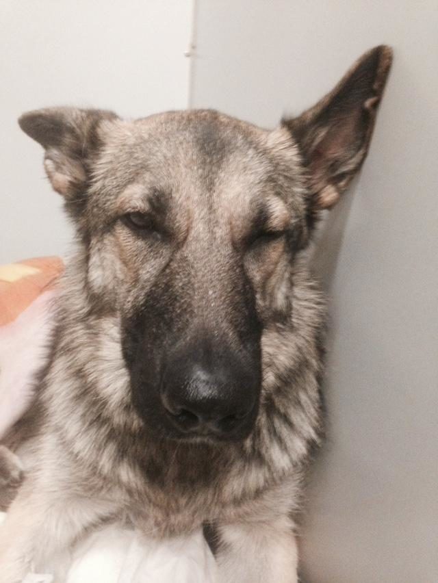 She just needs to sleep it off.