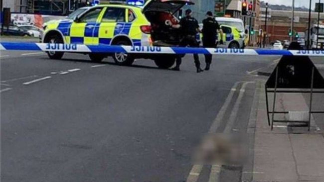 When police arrived, the dogs began chasing after officers, causing them to kill and injure the animals.