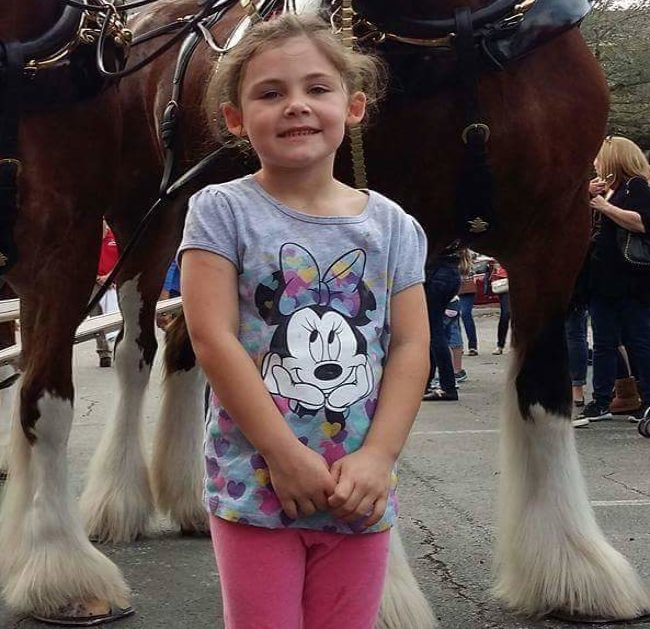 She was getting her picture taken with some horses when the Clydesdale right behind her decided to join in on the fun...