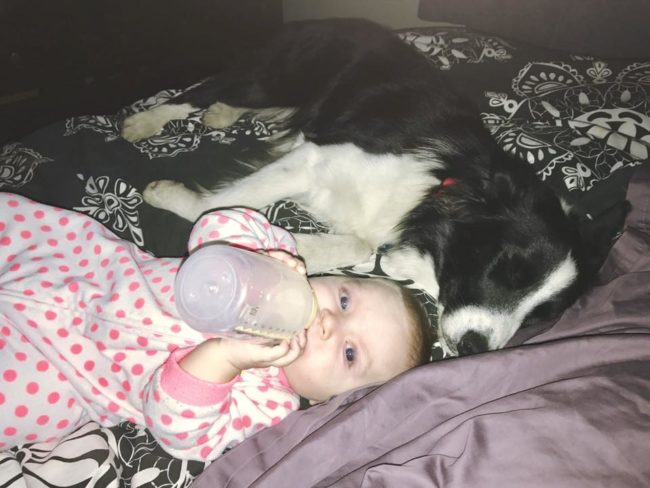 But one evening, the couple received a phone call from the daycare informing them that Eliana had been bitten by another child.