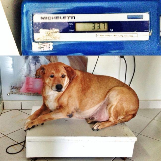 Soon, Bohlina began to lose a TON of weight!