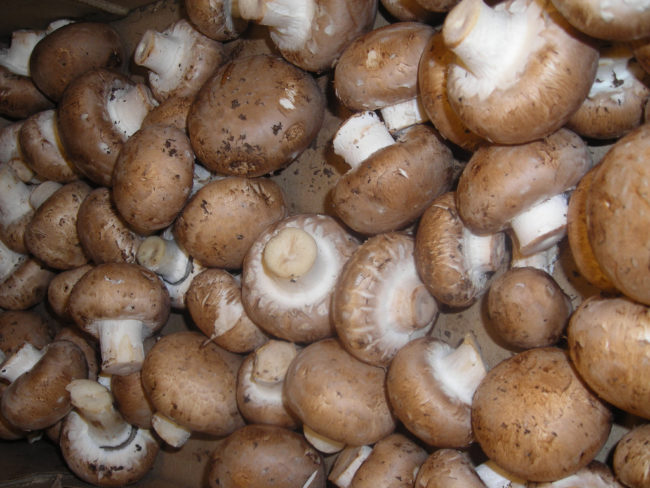 Cremini Mushrooms