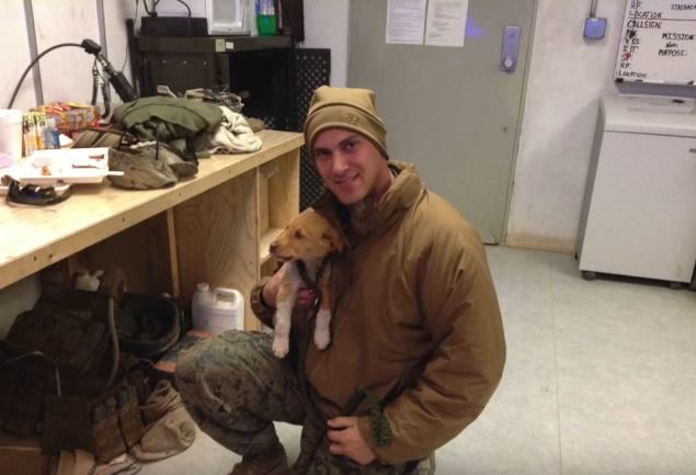 The program helps reunite military servicemen or women with dogs or cats that they bond with overseas by rescuing them and bringing them back the U.S.