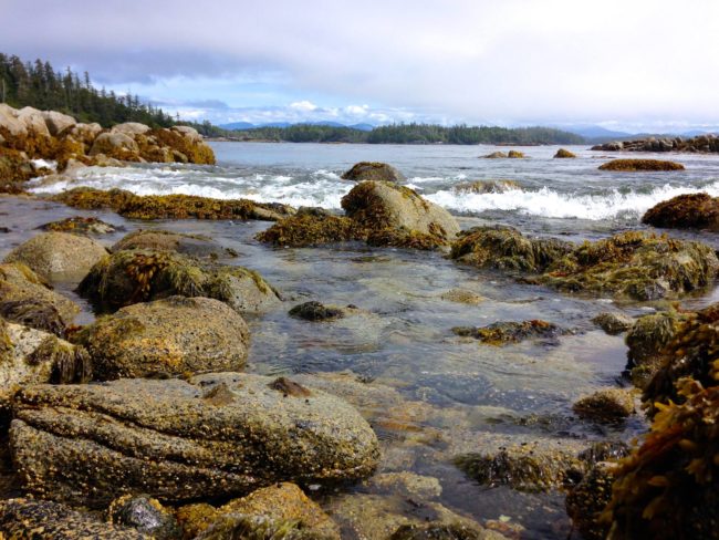 After analyzing the charcoal, the team estimated that the ancient village was established around 13,613 to 14,086 years ago. For reference, that's long before the Pyramids of Giza even existed.