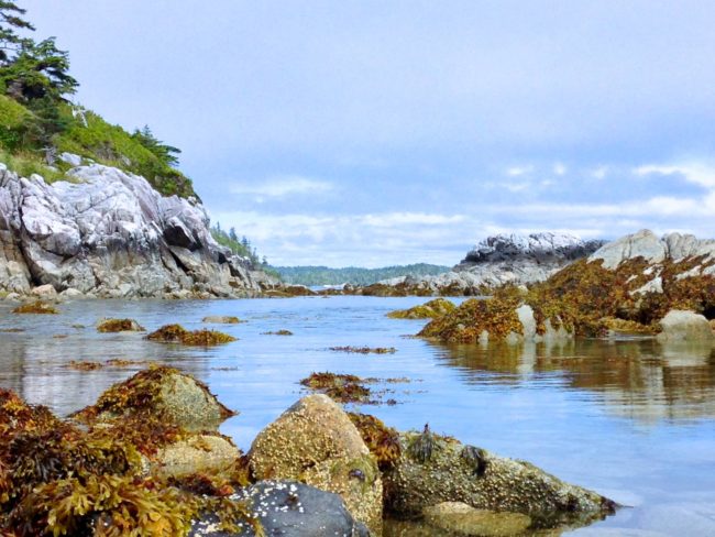 The indigenous Heiltsuk Nation people have said for a long time that their ancestors lived on the strip of land where the excavation took place during the last Ice Age, but now they have evidence to back up their claims when it comes to fighting for land rights.