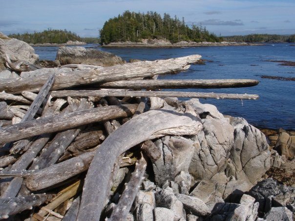 "When we do go into negotiations, our oral history is what we go to the table with," William Housty, a member of the Heiltsuk Nation, told CBC News. "So now we don't just have oral history, we have this archaeological information. It's not just an arbitrary thing that anyone's making up...We have a history supported from Western science and archaeology."