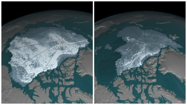 Between September 1984 and September 2016, the area covered by Arctic sea ice has dramatically decreased from 718,000 square miles to just 42,000 square miles.As you can see below, much of the older ice (shaded white), which is less vulnerable to melting, has disappeared.
