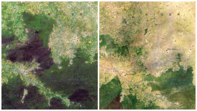 Population growth and a huge demand for agricultural land in the Maradi Department of Niger has caused the Baban Rafi Forest, the largest forested area, to lose a large portion of its natural landscape between 1976 and 2007.What's left is still being exploited for products we use.