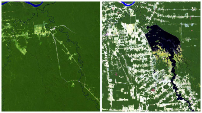 Between 1984 and 2011, deforestation greatly affected the area around the Jamari River in Rondonia, Brazil.The Samuel Dam, which was constructed in 1984, also created a reservoir that caused flooding and displaced many who lived there.