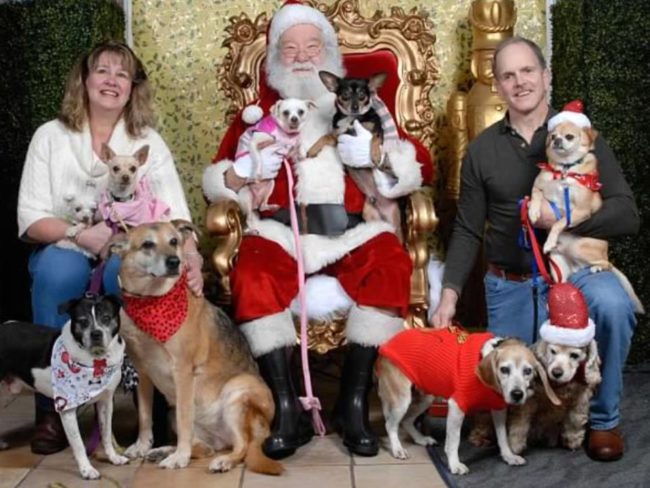 The Allens typically share their home with around 20 dogs with health problems including heart disease, diabetes, and cancer, which can lead to very expensive medical bills.