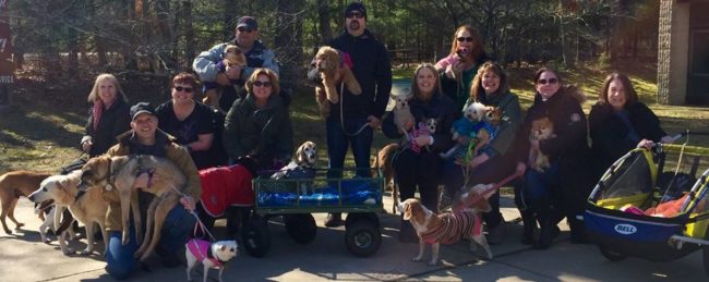 But luckily, they're able to continue caring for these pups with the help of financial donations, a dog food company that donates over 60 pounds of food per week, and over 50 volunteers.