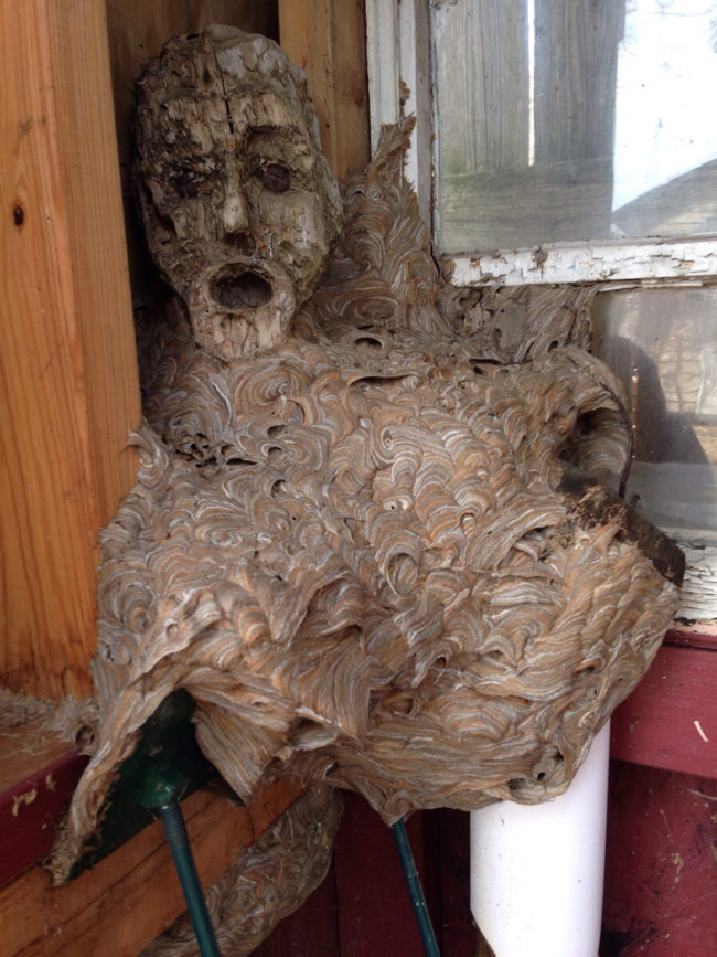 Nightmare fuel, right?The good news is that the nest was already abandoned when the Redditor found it.Apparently, it's still there.