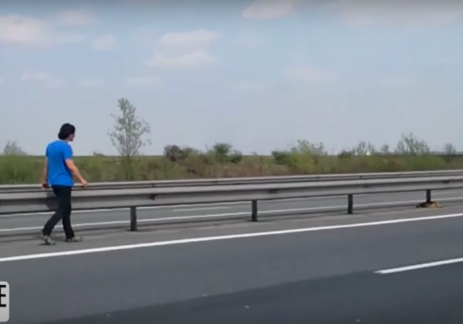 One small dog was recently left for dead in the median of a busy highway. With cars racing by on both sides, this pup didn't have a good chance of making it across on her own.