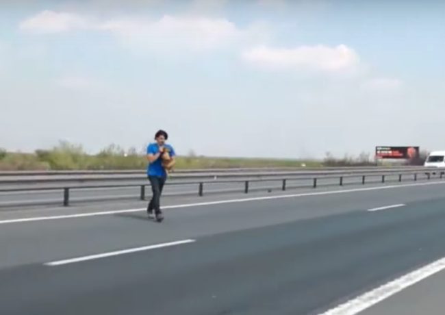 Eventually, he was able to grab the dog by the scruff of the neck and race her to safety. What a hero!