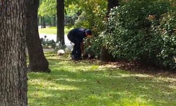 The poor thing was terrified when they pulled him out of the bush.