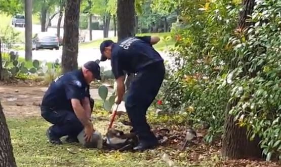 The container was the kind used to package cheese balls, so rescuers think he got stuck while trying to eat what remained of the snack.