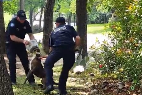 It took some effort to hold him still while they tried to remove the suffocating jar, but they eventually succeeded.
