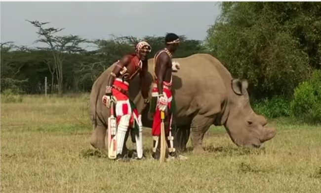 Sudan’s Tinder profile will be seen in over 190 countries around the world in 40 different languages.