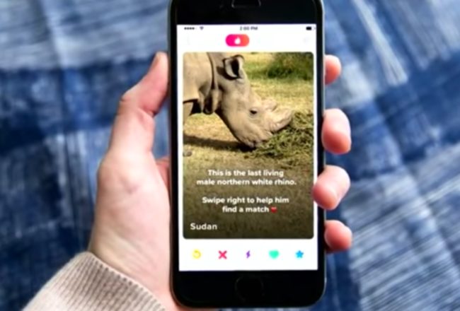 If a user swipes right, they will be taken to a donation page that is being used to help raise funds for white rhino fertility treatments.