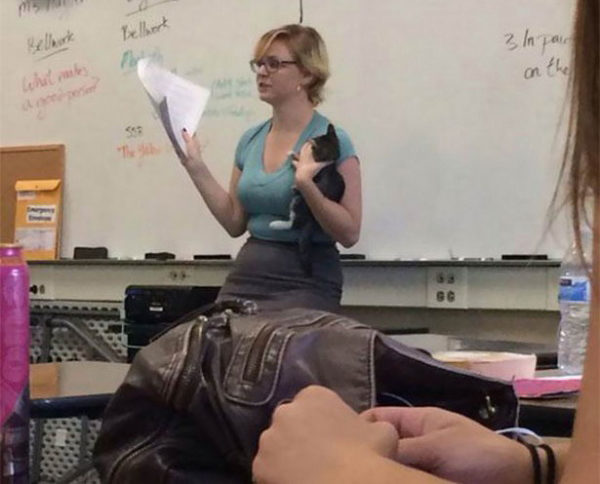 When this teacher found a stray cat on her commute to work, she went ahead and brought it to school!