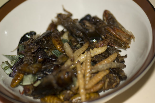 According to Dr. Peter Alexander, &ldquo;A mix of small changes in consumer behavior, such as replacing beef with chicken, reducing food waste, and potentially introducing insects more commonly into diets, would help achieve land savings and a more sustainable food system.&rdquo;