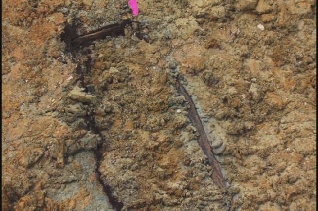 Ground-penetrating radar has revealed coffins spanning across 20 acres on the UMMC campus. People on site estimate that there could be over 7,000 bodies there in total.