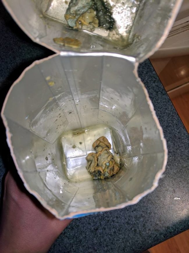 Whatever is happening here is anyone's guess, but Marie thinks it might be the remains of a squid. "I immediately dumped out all the water. I shook it because I heard stuff bouncing around," she said. "I opened it with a knife and that's when I discovered the octopus-looking thing."