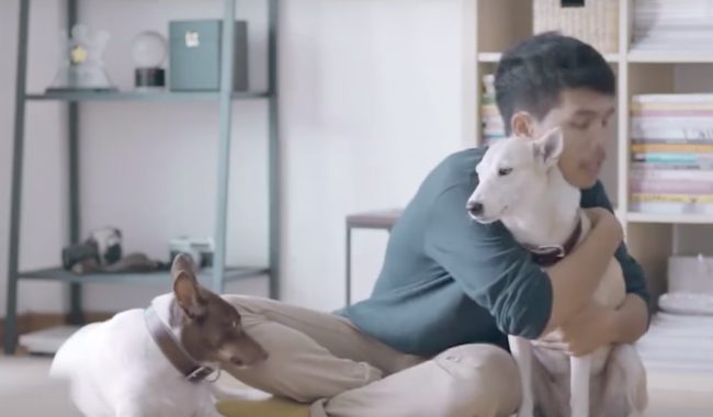 He loves dogs, so he obviously has a few of his own. He's really great at giving dog hugs.