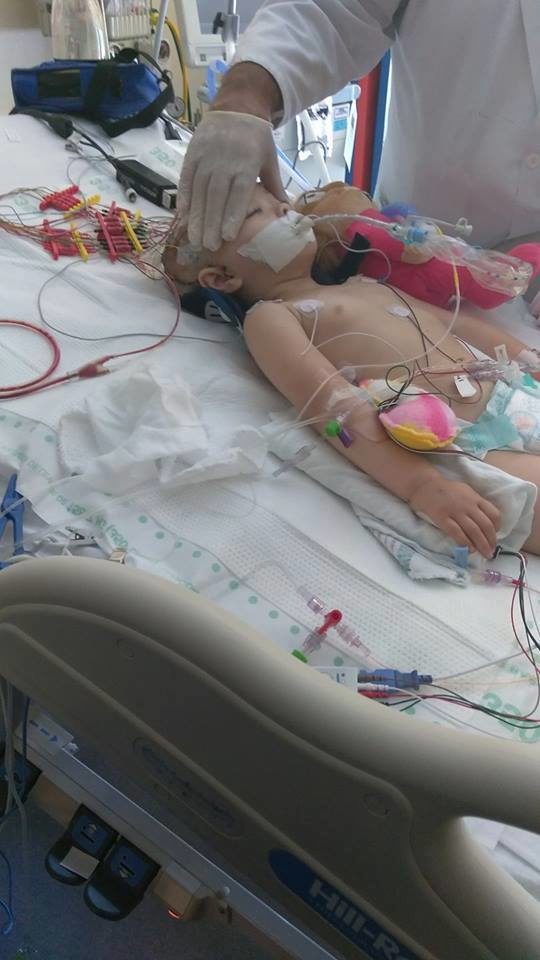 Gia has already made it through surgery, but she's not out of the woods yet. She's currently in critical condition.