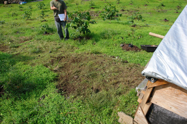 The chemical has been shown to cause cancer in animals used for testing.