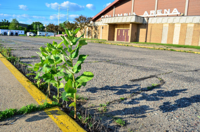Defendants claim that Monsanto was negligent in warning consumers about the potential risks.