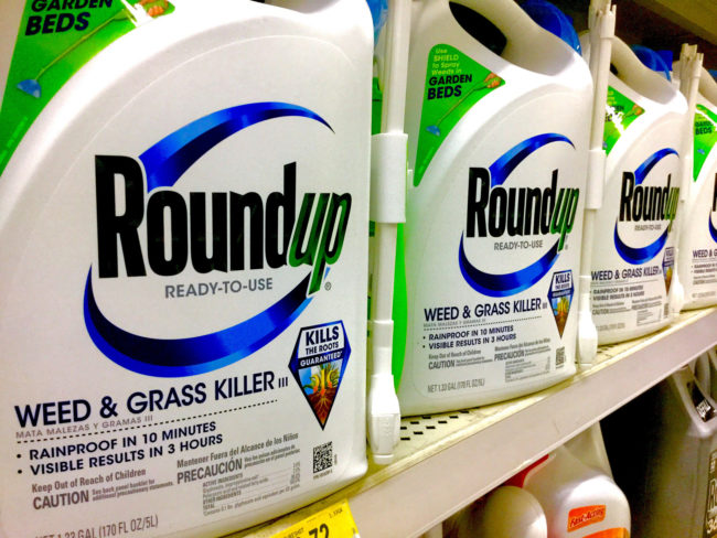 Since this research was released, hundreds of non-Hodgkin's lymphoma patients have spoken out about their use of the herbicide and many are in the process of suing Monsanto, the company behind it.