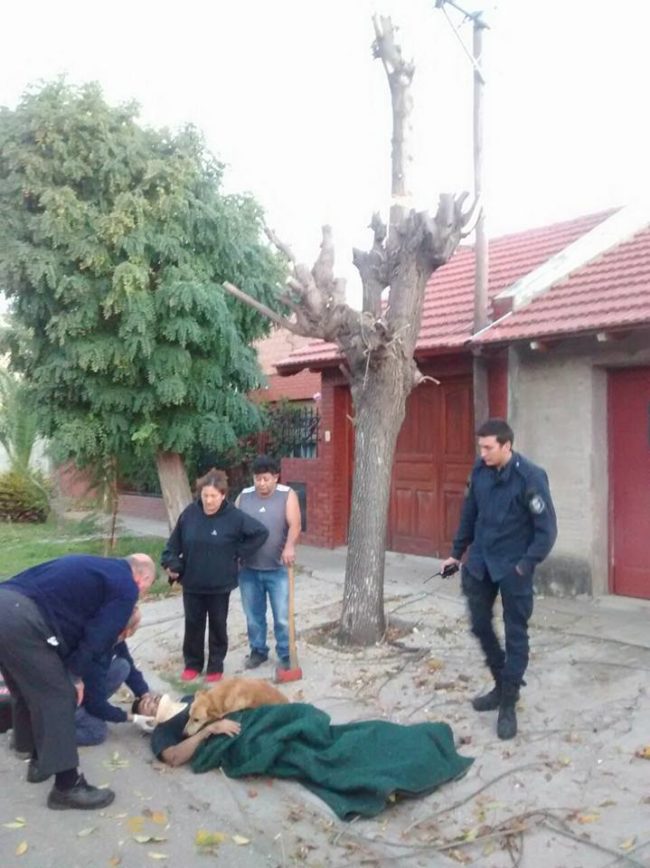 Hueche regained consciousness and patted the dog, telling him everything would be okay. Still, Tony was skeptical.