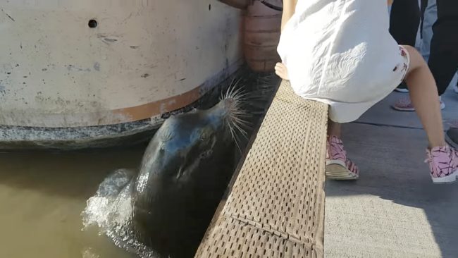 And what happened seconds after she posed only reinforces my hesitation.