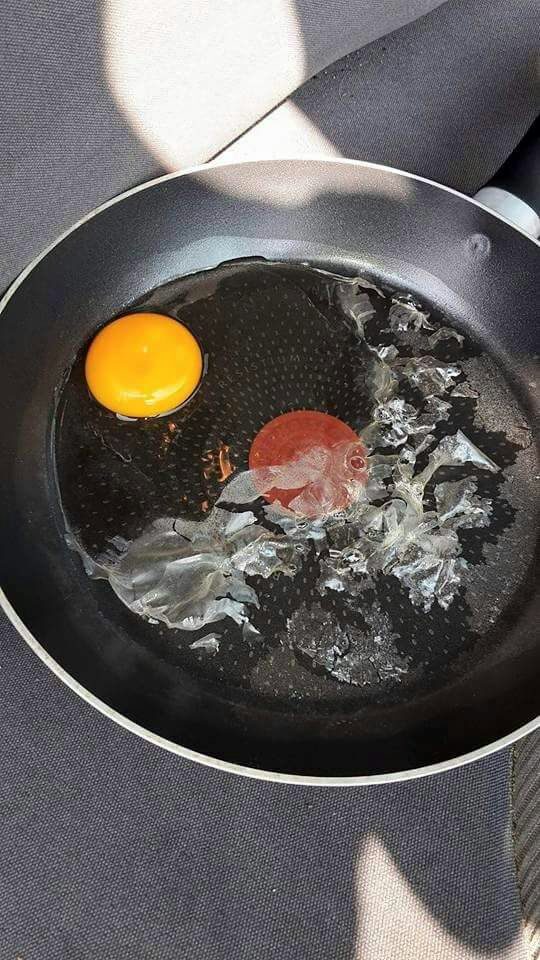 After cracking an egg and dropping it into a frying pan, they placed it on a car seat and left it there for a short amount of time.