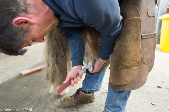 &ldquo;It is impossible to imagine the distress of the last few years, the omnipresent suffering, the hunger that gnaws and disintegrates, the torture of itching, the confinement in the impenetrable air,&rdquo; the sanctuary added. &ldquo;Under torture, time is infinite.&rdquo;