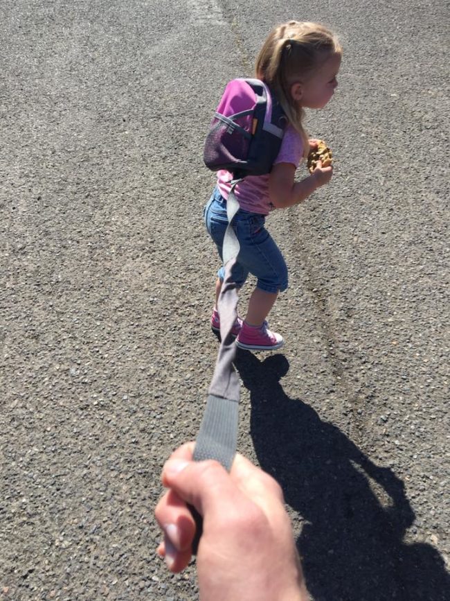 Clint Edwards, the creator of the popular parenting blog, "No Idea What I’m Doing: A Daddy Blog," recently put his daughter on a backpack leash when he took her to a local farmer's market.
