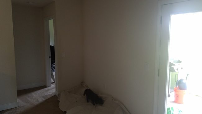 ArialeneHexagra had tons of toys for her cats but knew that so much could be done with this empty wall space to make their lives even more fun.