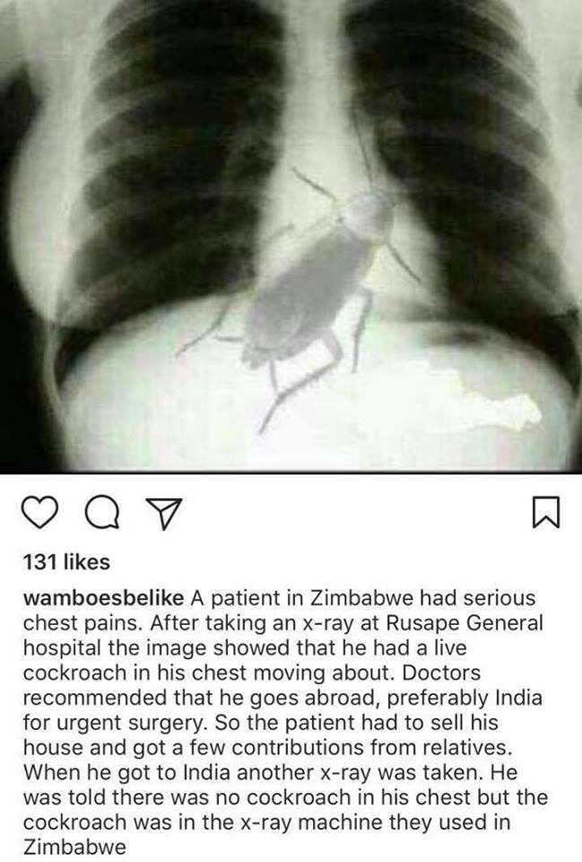 This looks photoshopped but holy crap it still makes me shudder.