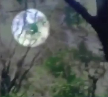 But when he looked again, he noticed something in the background. "You can definitely see a torso and four limbs moving around and swinging around," Gardiner told KTLA. "It's a pretty obvious kind of motion."