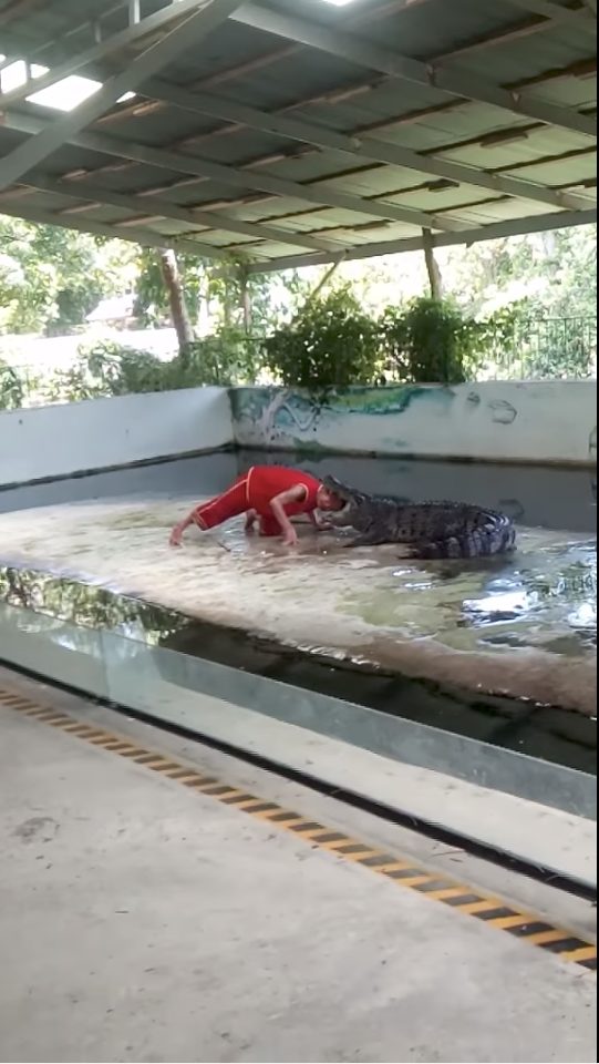 “You wanna see something incredibly cool and stupid? Of course you do!”