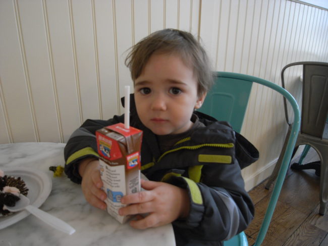 Other results from the survey revealed that 37 percent off Americans drink milk straight from the carton, and 29 percent use their children as an excuse to purchase chocolate milk. They're clearly ashamed of brown cows.