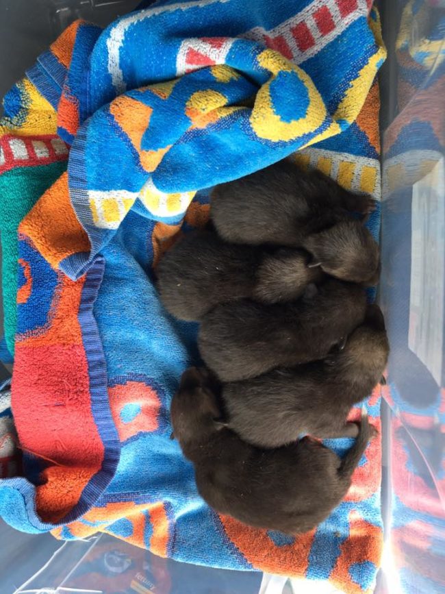 Paul lingered nearby as they all waited for Mom.